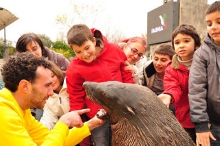  Con l'orso marino 